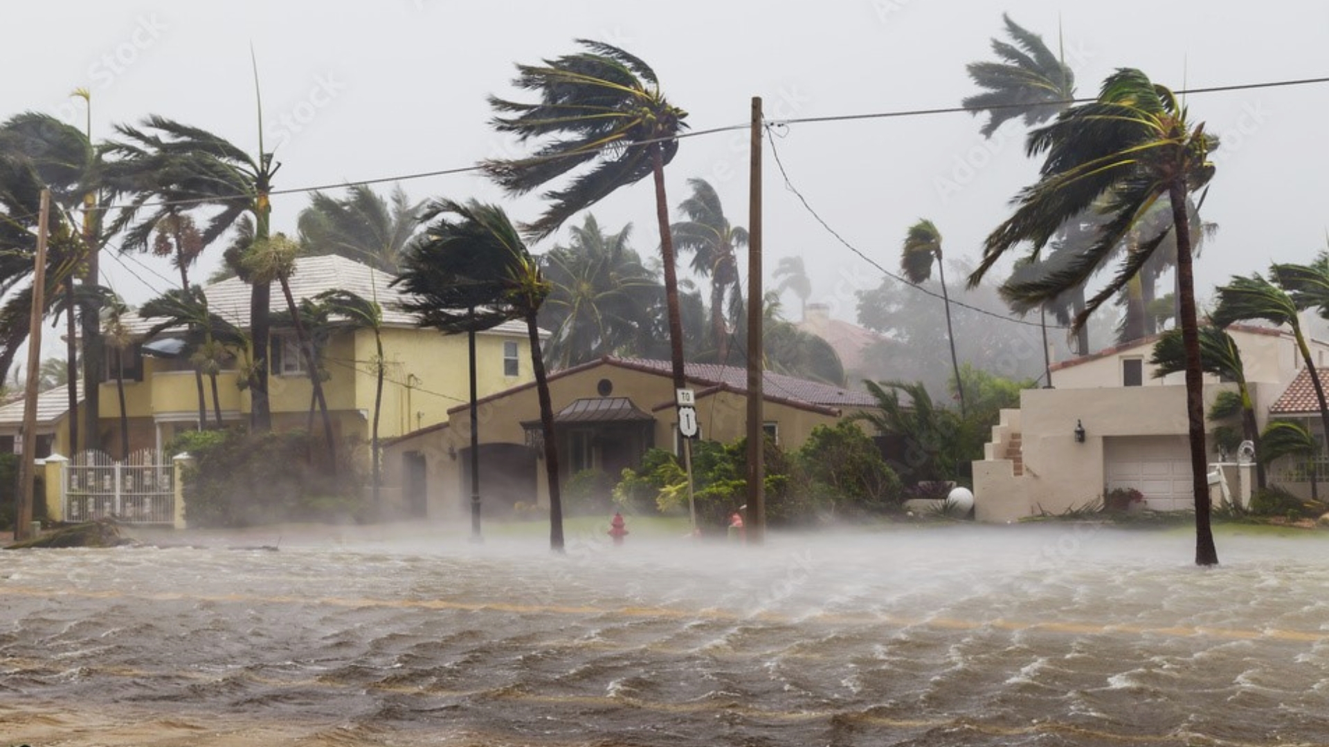 After the Storm: Train yourself on Post-Hurricane Scams